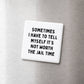 Not Worth the Jail Time Magnet