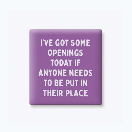 Put In Their Place Magnet