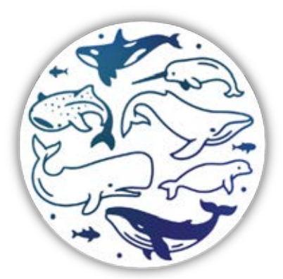 Whale Vinyl Sticker