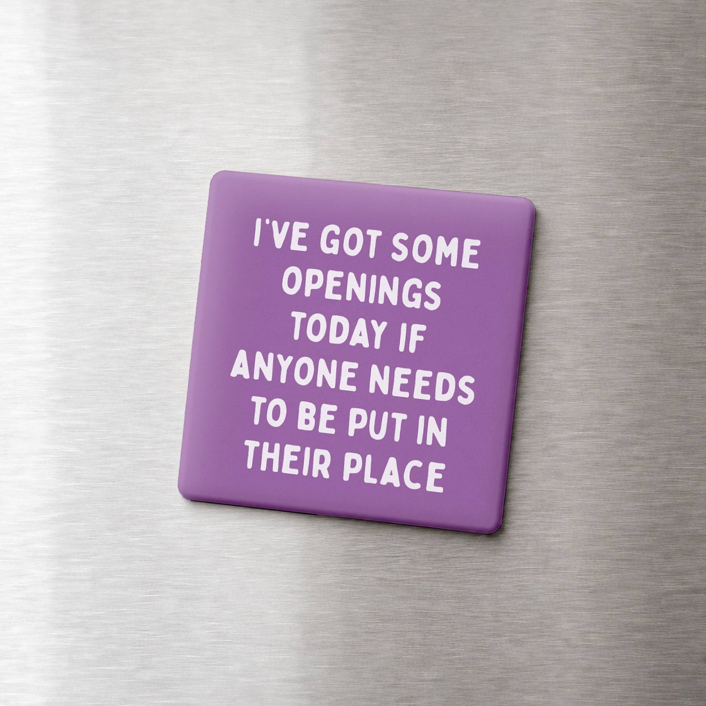 Put In Their Place Magnet